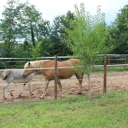 Cascina Legnago Bilocale A 6 Chilometri Da Salo' Apartamento Villanuova sul clisi Exterior foto