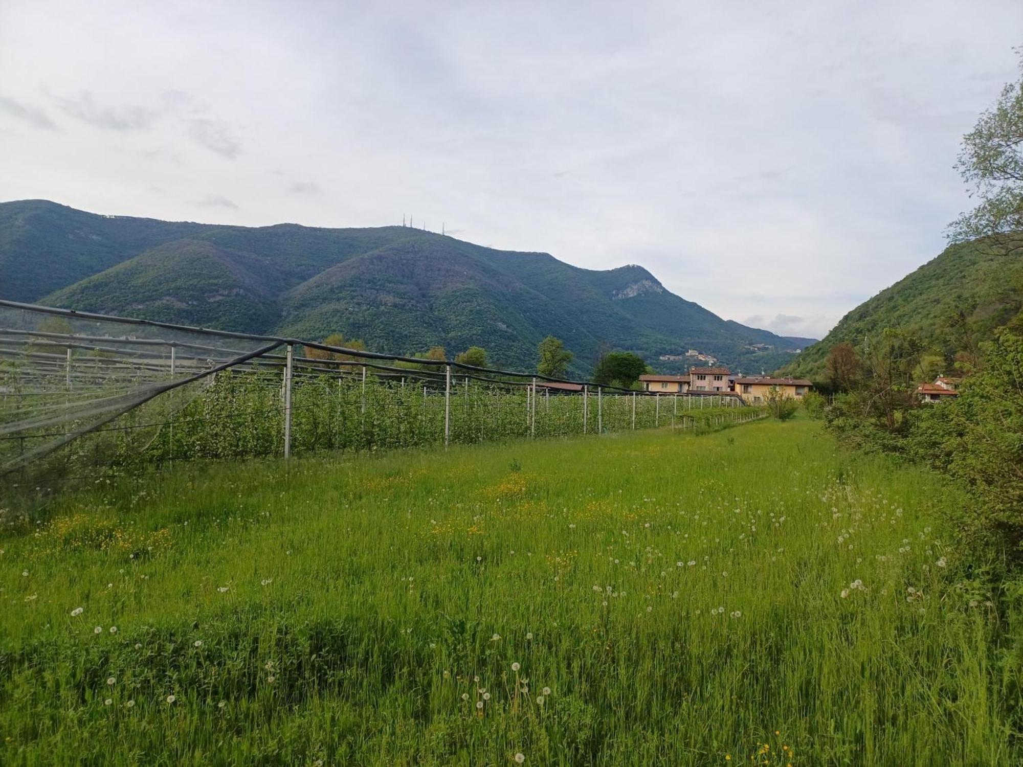 Cascina Legnago Bilocale A 6 Chilometri Da Salo'