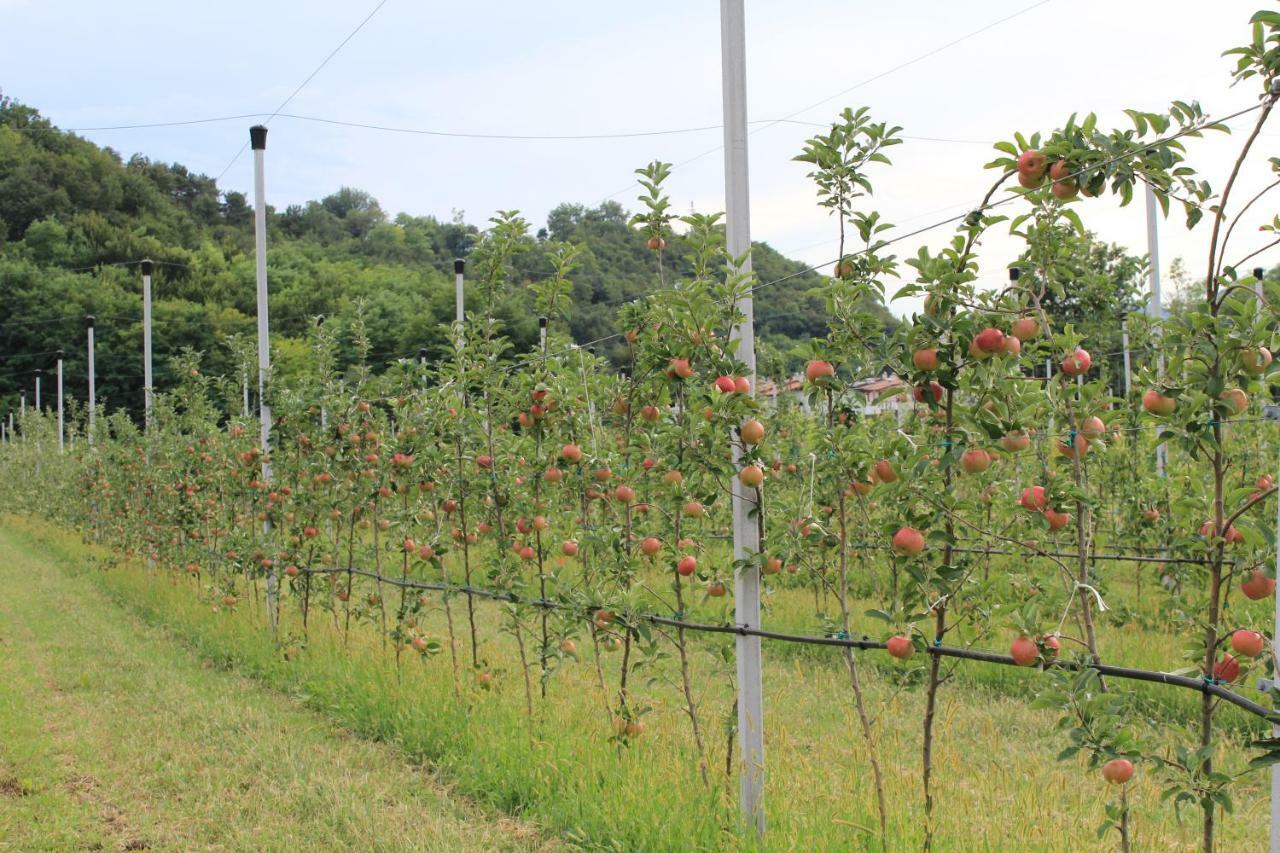 Cascina Legnago Bilocale A 6 Chilometri Da Salo'