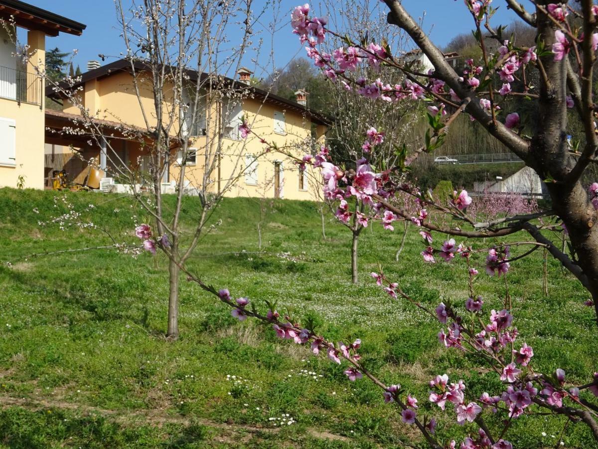 Cascina Legnago Bilocale A 6 Chilometri Da Salo' Villanuova sul clisi